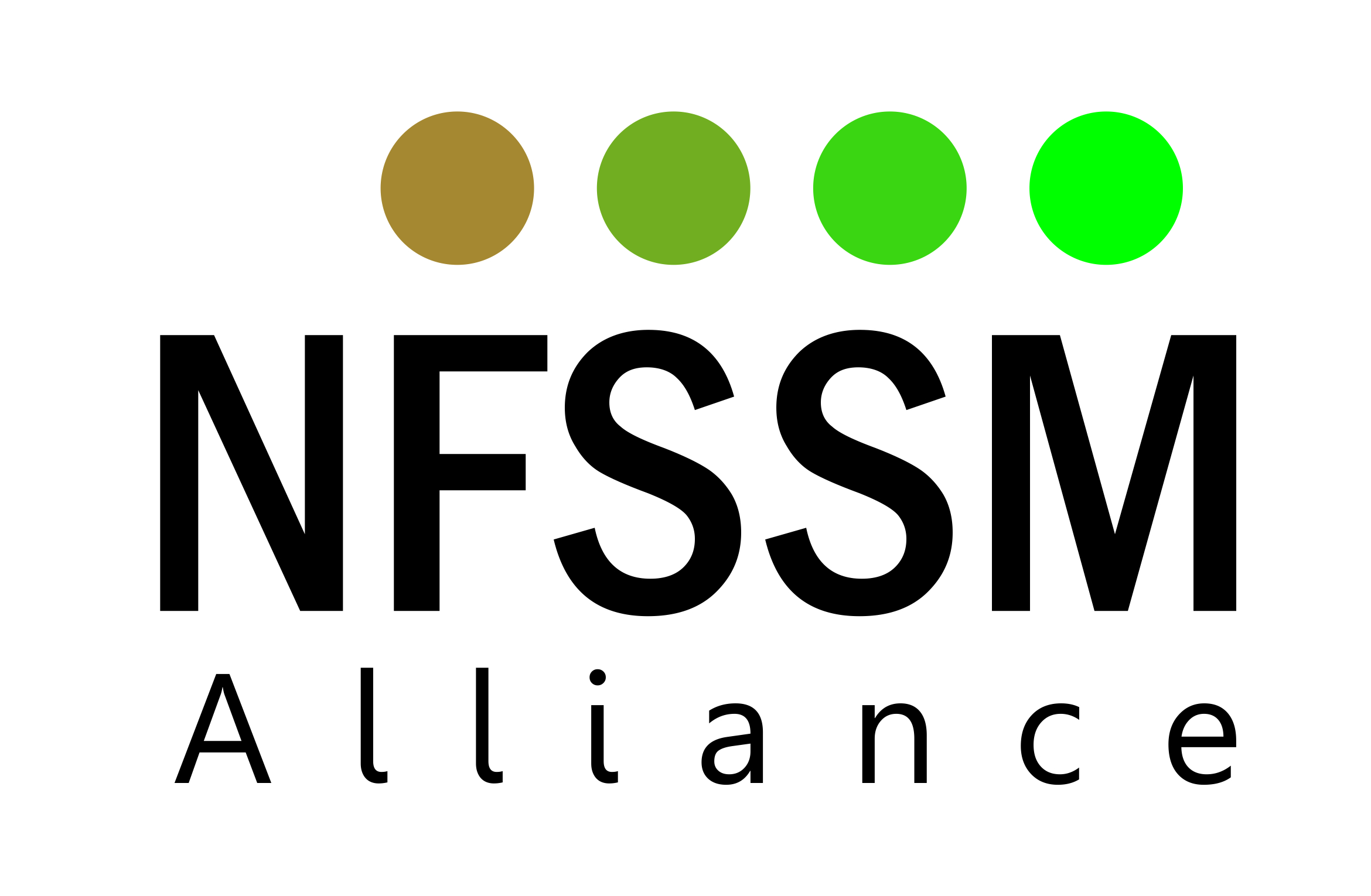 NFSSM Logo